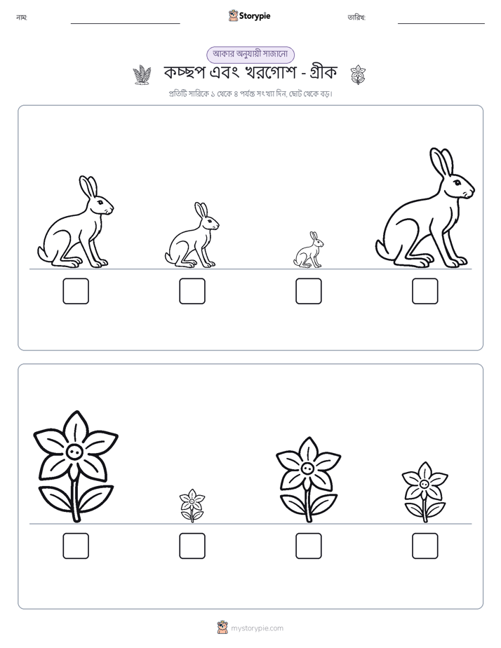 আকারের ক্রম