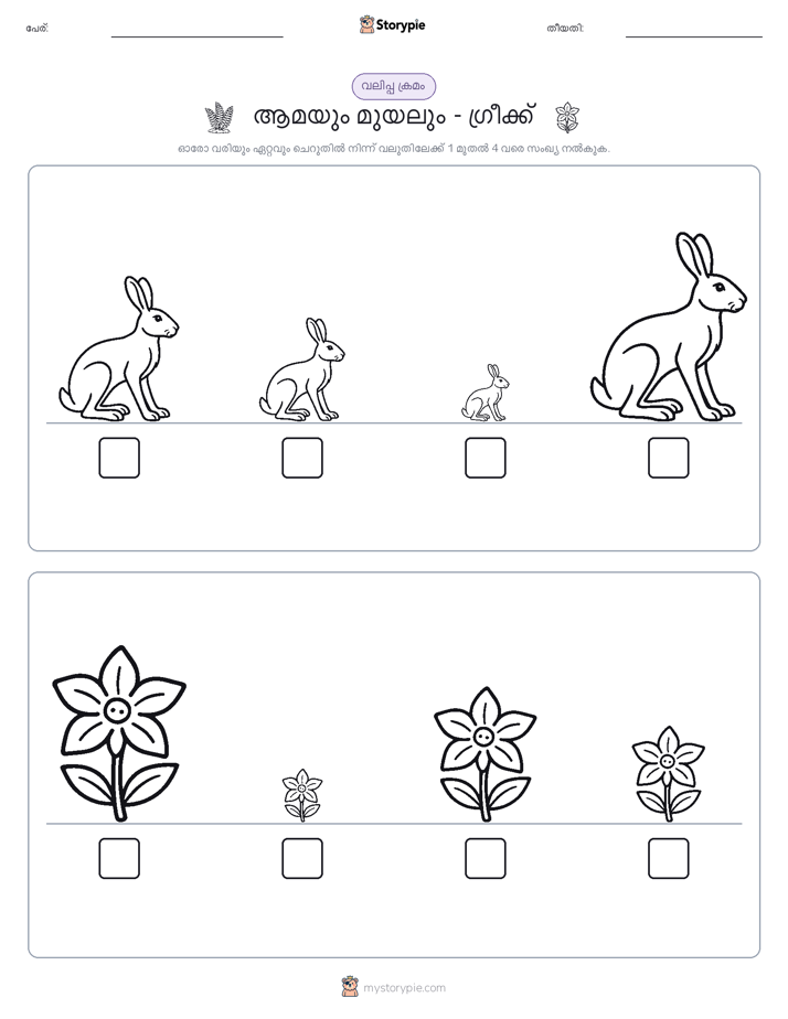 വലുപ്പം ക്രമം