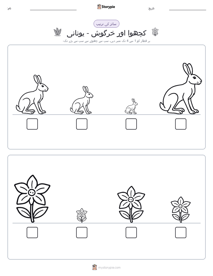 سائز کی ترتیب