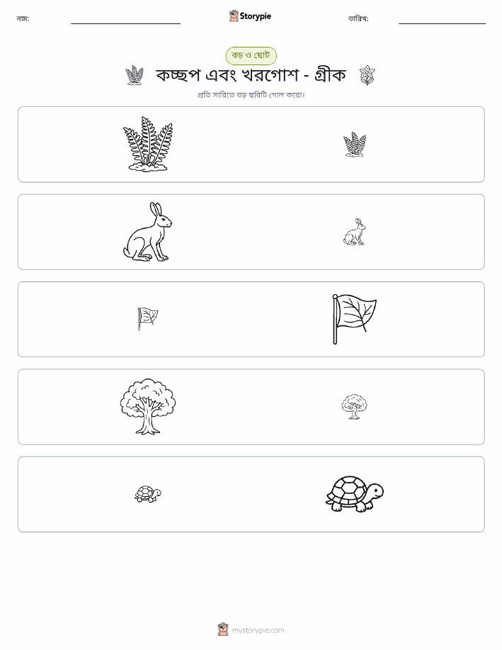 সাজানো