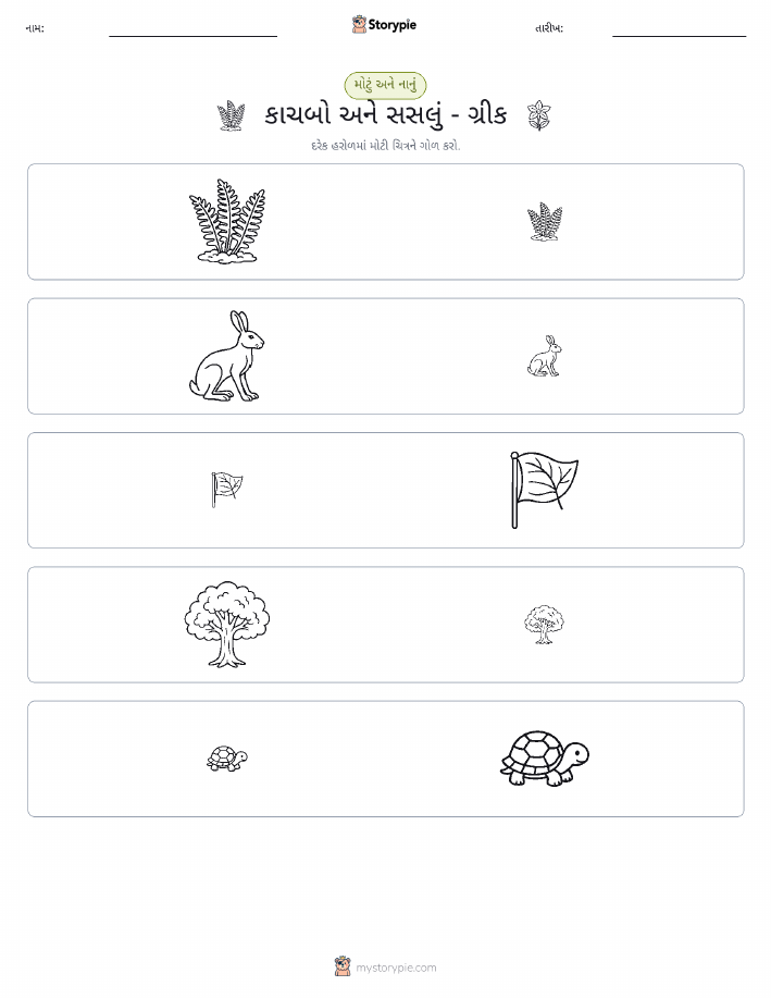 વર્ગીકરણ