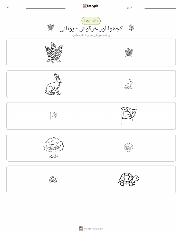 ترتیب دینا