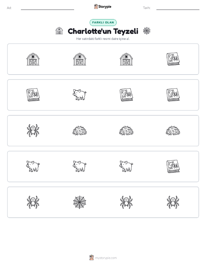 Farklı Olanı Bul