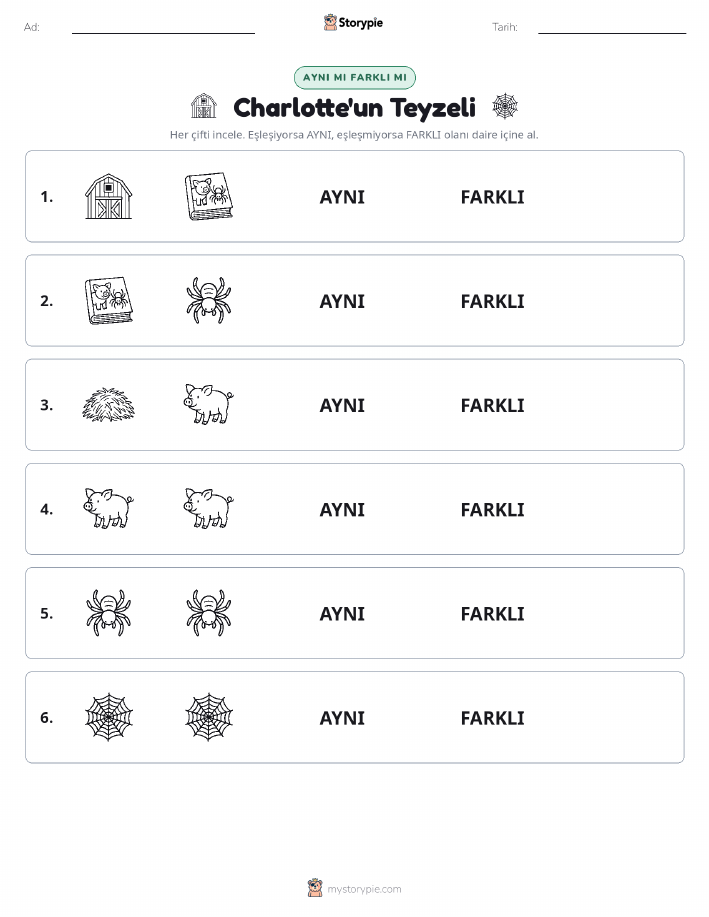Aynı mı Farklı mı
