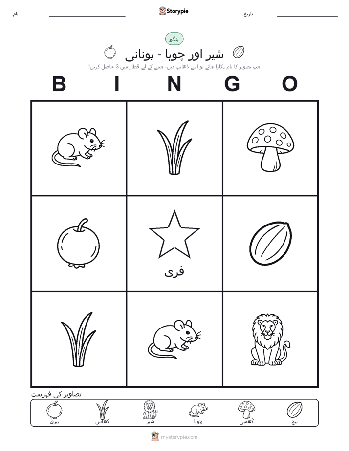 تصویری بنگو