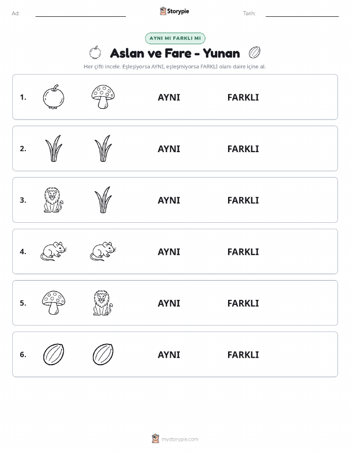 Aynı mı Farklı mı