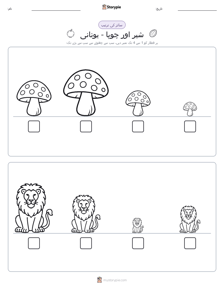 سائز کی ترتیب