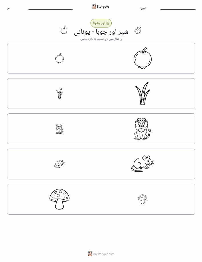 ترتیب دینا
