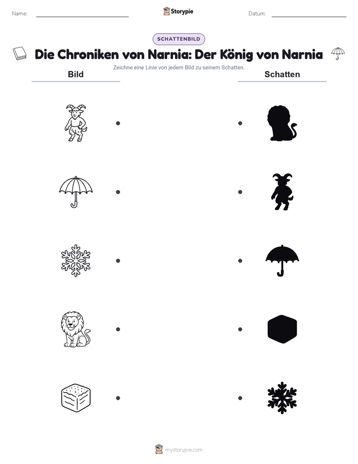 Schattenmatch