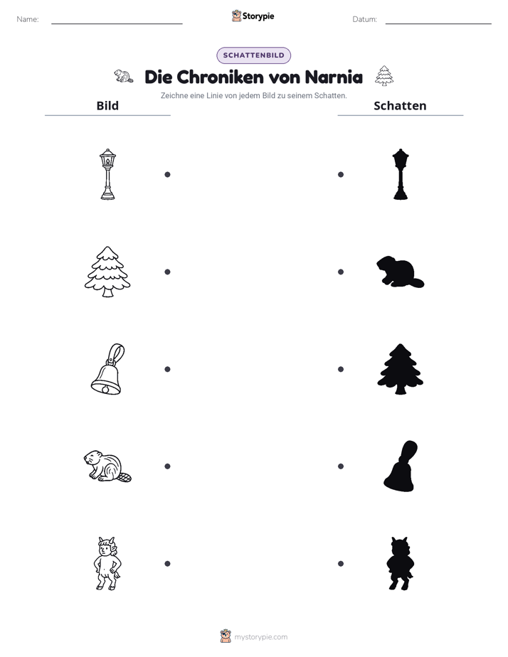 Schattenmatch
