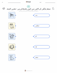 مچھر لوگوں کے کانوں میں کیوں بھنبھناتے ہیں - مغربی افریقی پرنٹ کرنے کے قابل ورکشیٹ کا پیش نظارہ