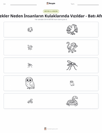 Sivrisinekler Neden İnsanların Kulağında Vızıldar - Batı Afrika yazdırılabilir çalışma sayfası önizlemesi