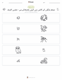 مچھر لوگوں کے کانوں میں کیوں بھنبھناتے ہیں - مغربی افریقی پرنٹ کرنے کے قابل ورکشیٹ کا پیش نظارہ