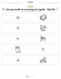 Xem trước tài liệu in sẵn Tại Sao Muỗi Vo Ve Bên Tai Người - Tây Phi