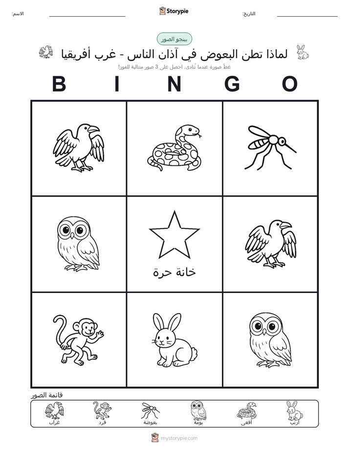 بينغو الصور