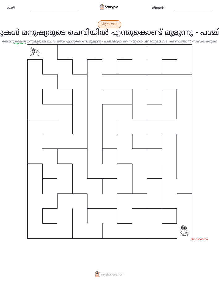 മെയ്സ്