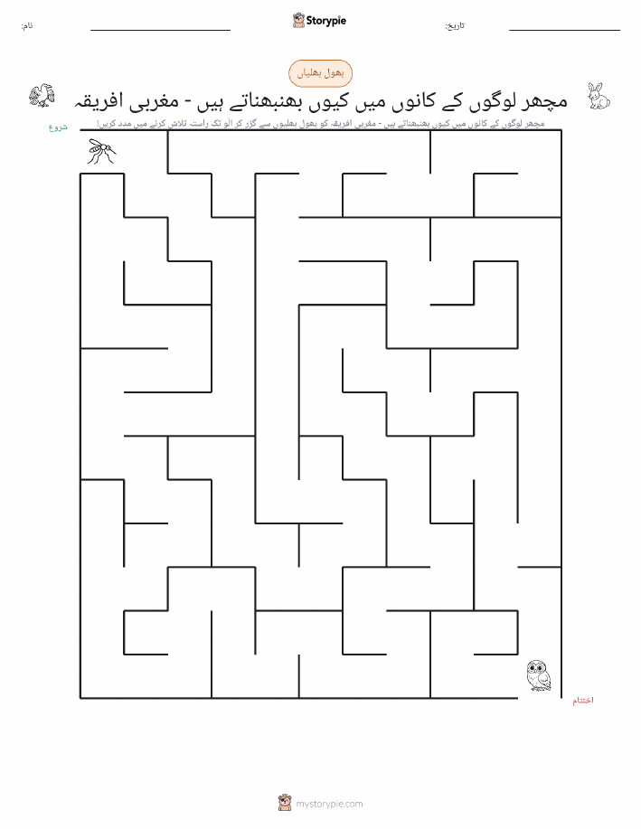 بھول بھلیاں