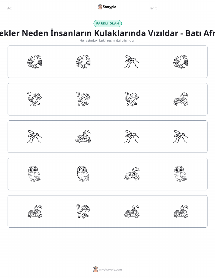 Farklı Olanı Bul