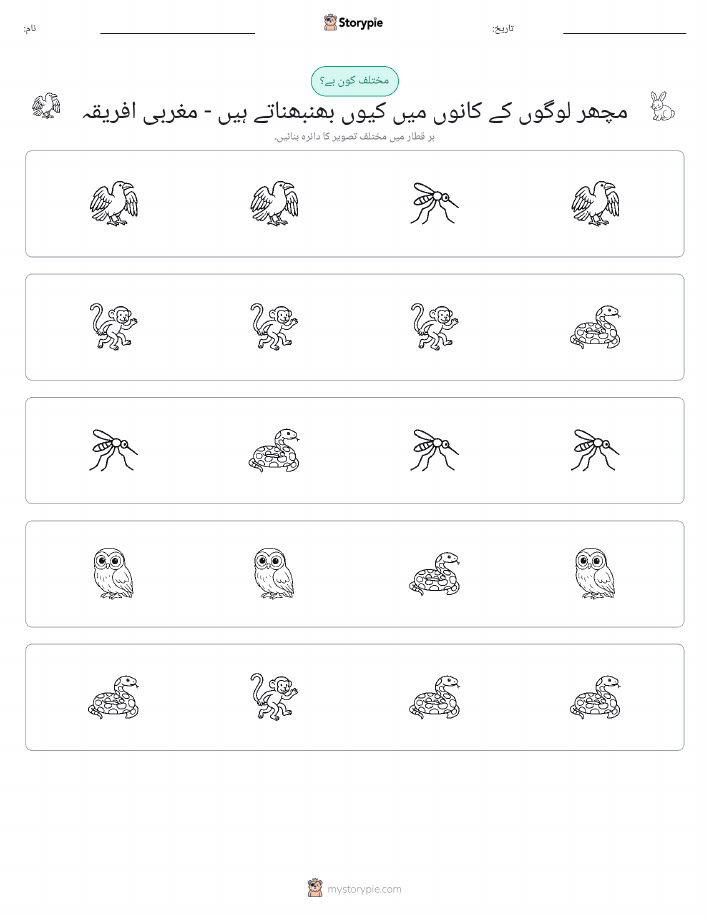 عجیب ایک