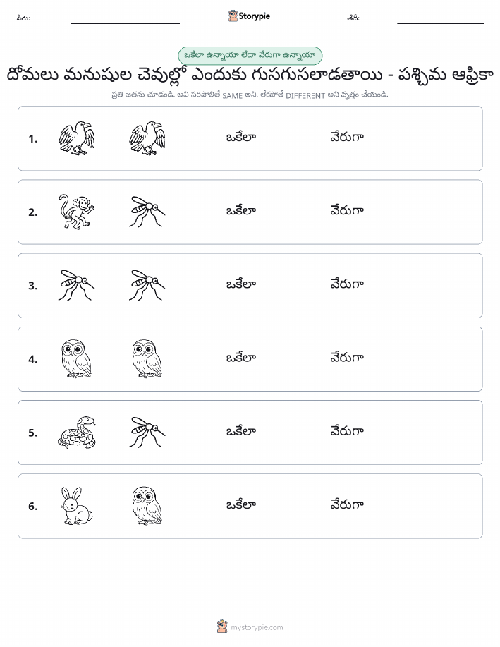 అదే లేదా వేరే