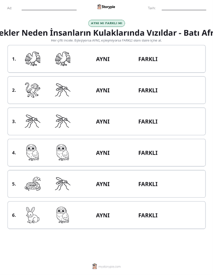 Aynı mı Farklı mı
