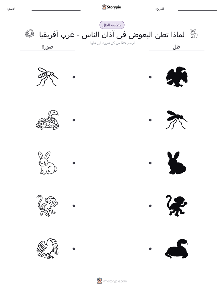 مطابقة الظل
