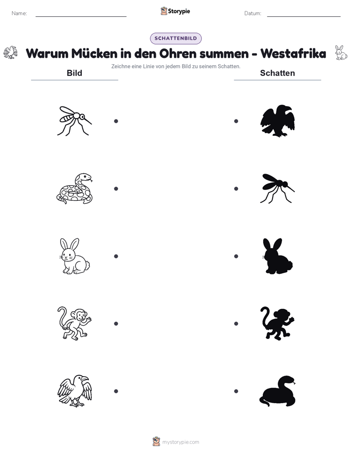 Schattenmatch