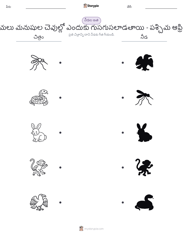షాడో మ్యాచ్
