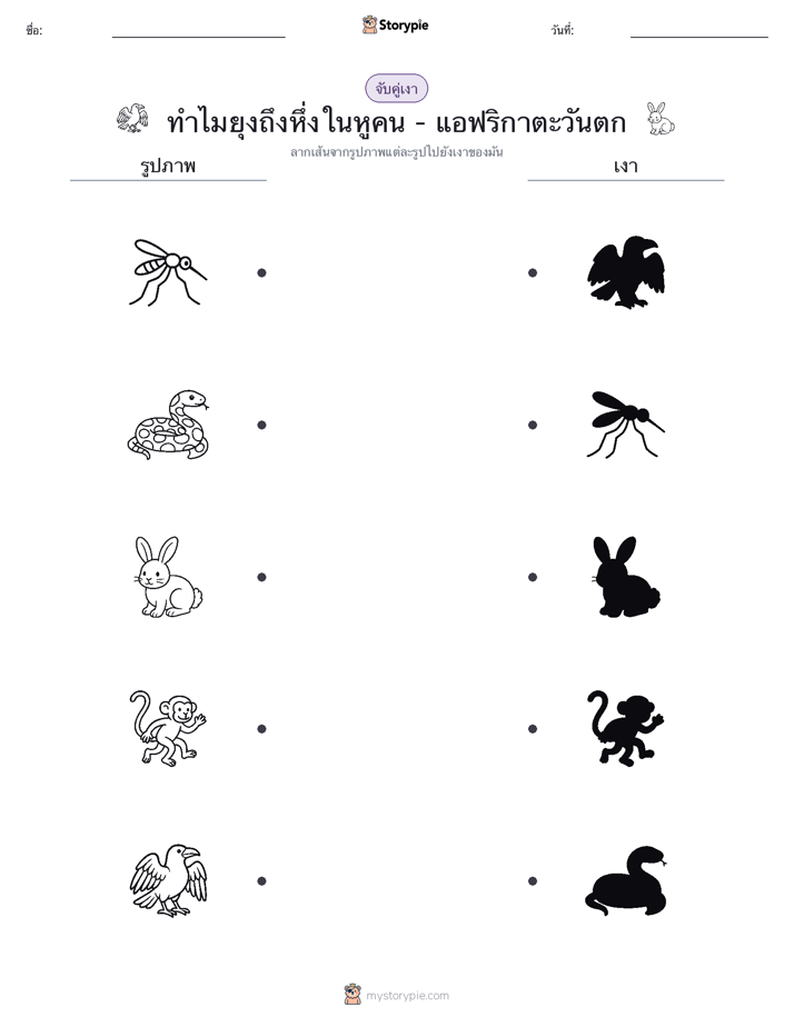 จับคู่เงา