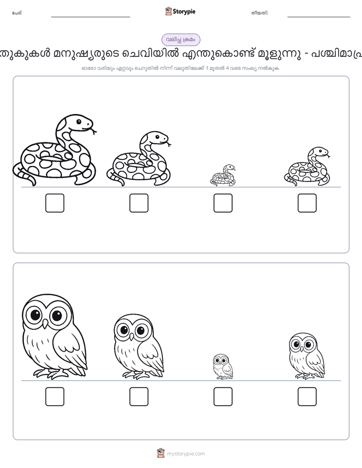 വലുപ്പം ക്രമം