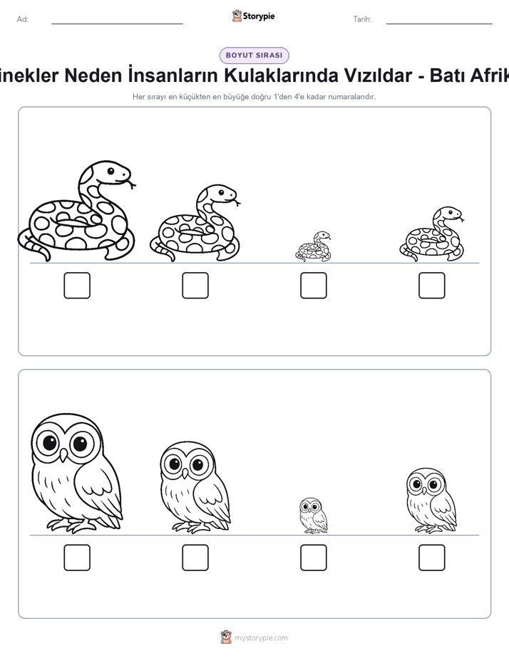Boy Sıralaması