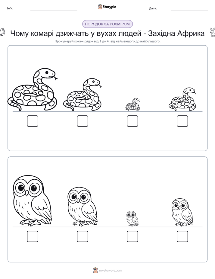Порядок Розміру