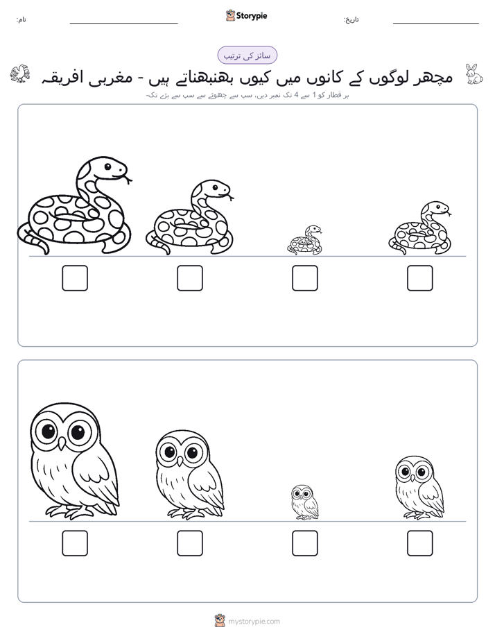 سائز کی ترتیب