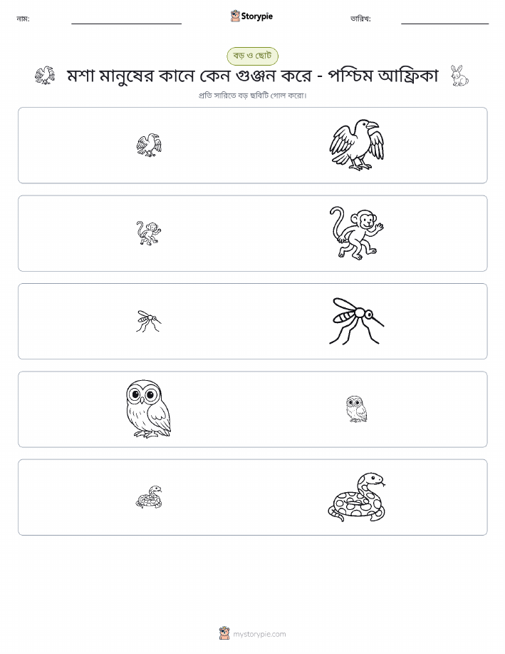 সাজানো