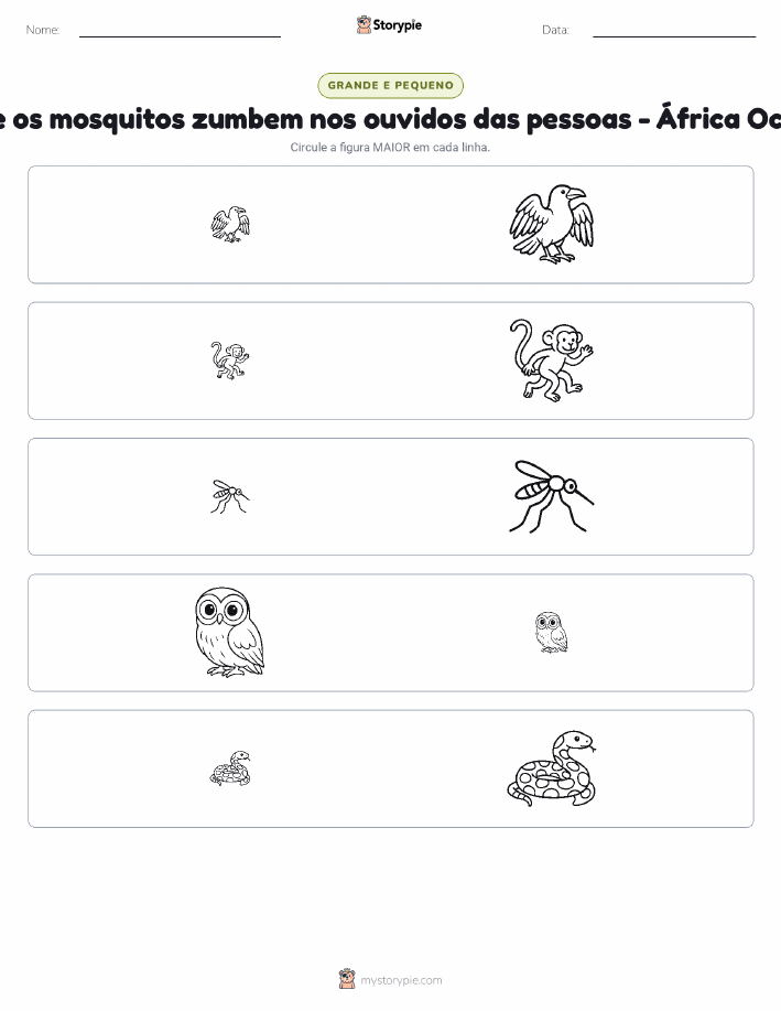 Classificação