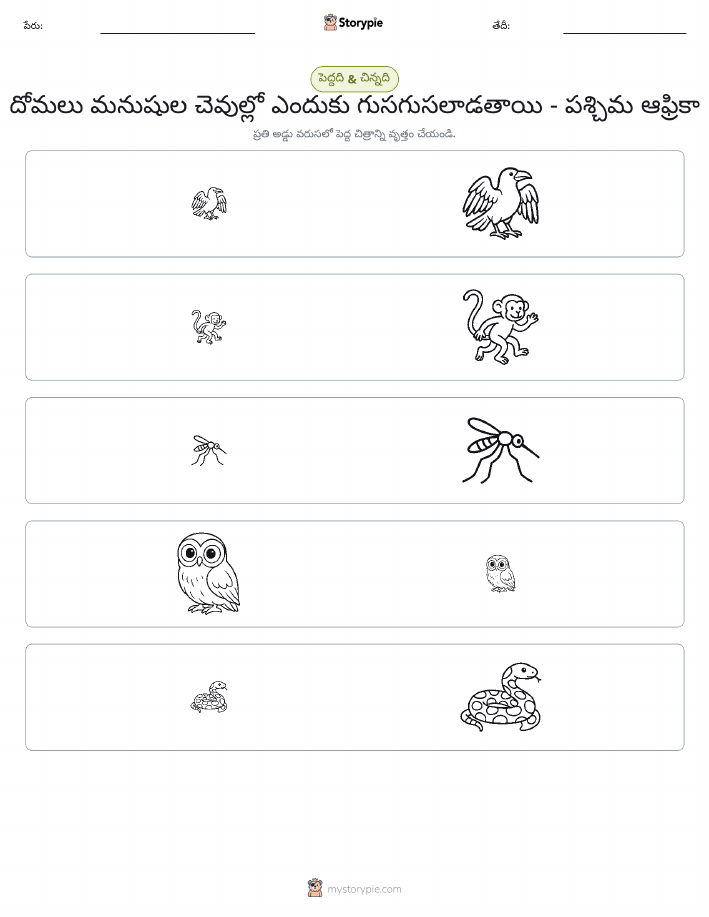 వర్గీకరణ