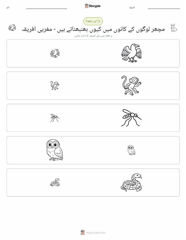 ترتیب دینا