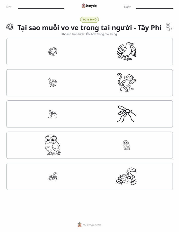 Phân Loại