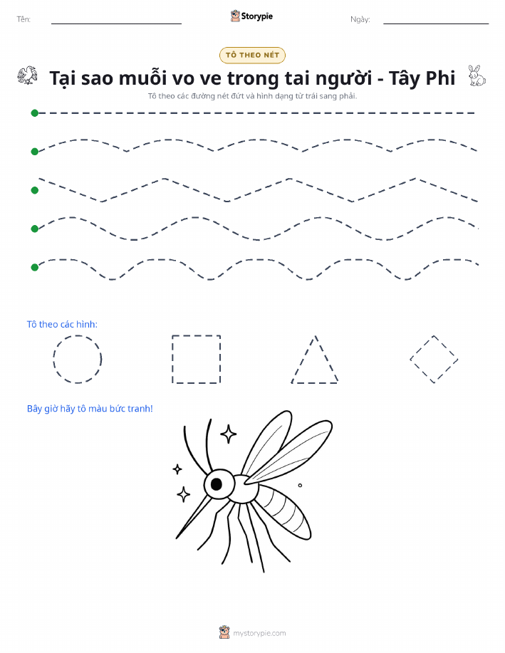 Vẽ Theo Đường