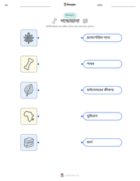 গন্ডোয়ানা মুদ্রণযোগ্য কাজের পৃষ্ঠার প্রিভিউ