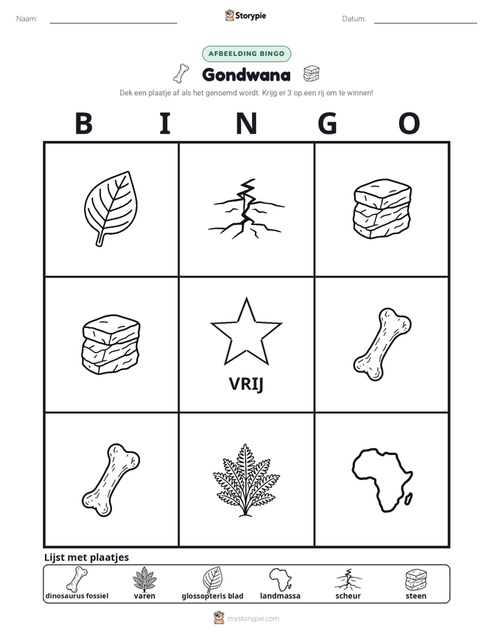Afbeelding Bingo
