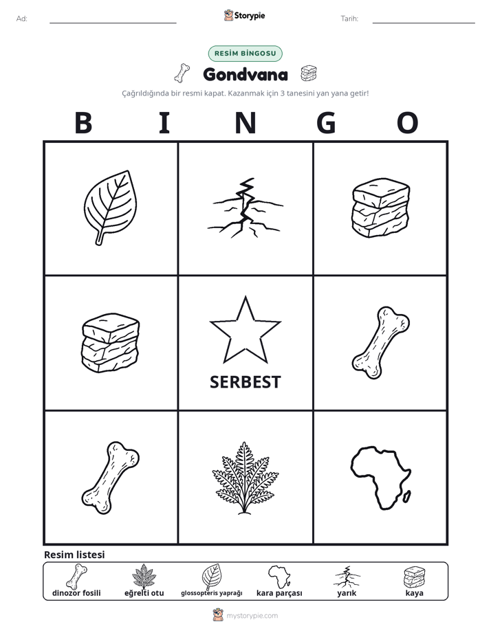 Resim Bingo