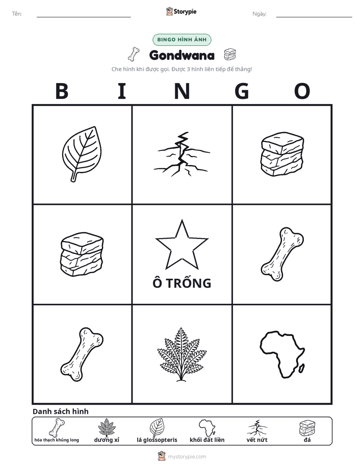 Bingo Hình Ảnh