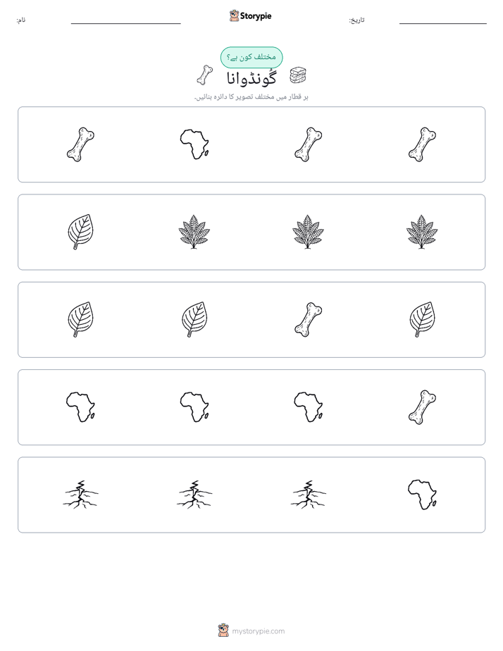 عجیب ایک