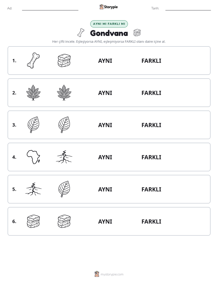 Aynı mı Farklı mı