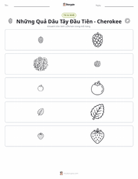 Xem trước tài liệu in sẵn Những Quả Dâu Tây Đầu Tiên - Thần thoại Cherokee