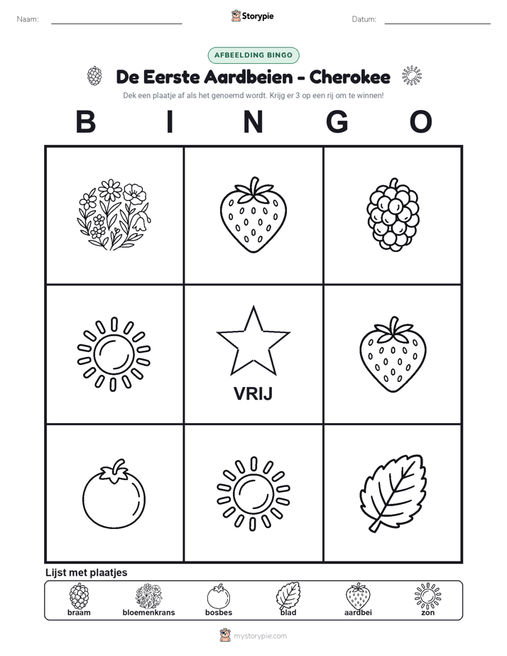 Afbeelding Bingo