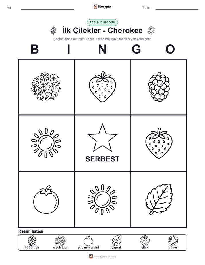 Resim Bingo