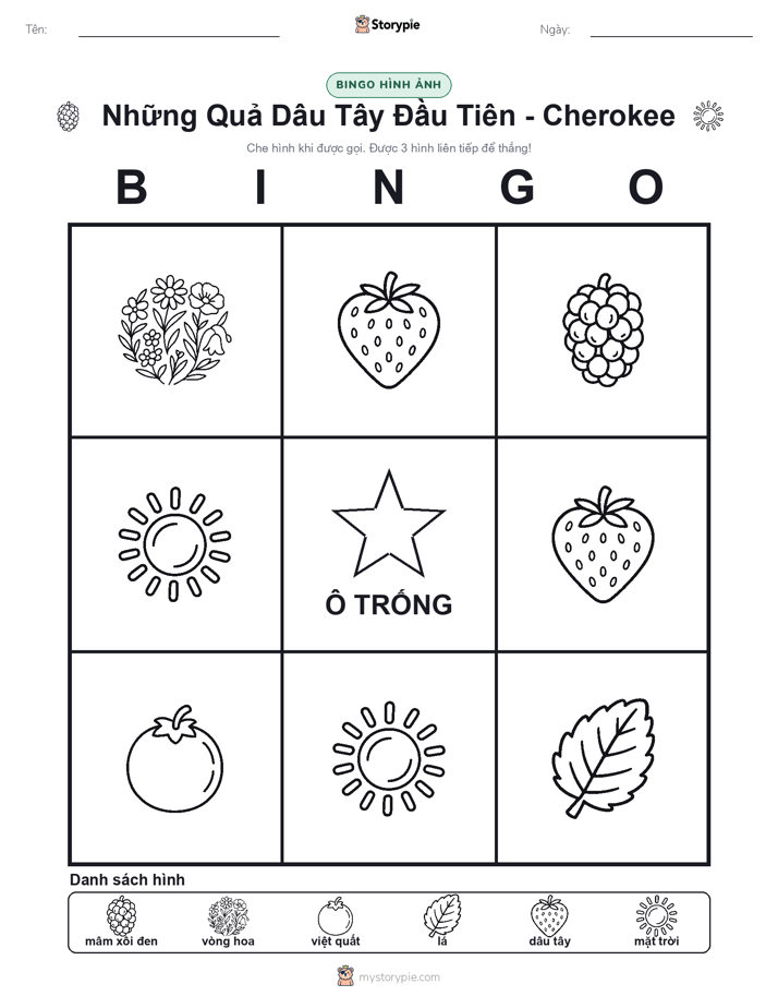 Bingo Hình Ảnh