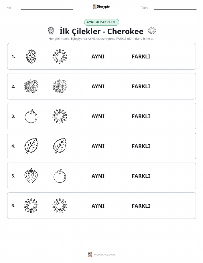 Aynı mı Farklı mı